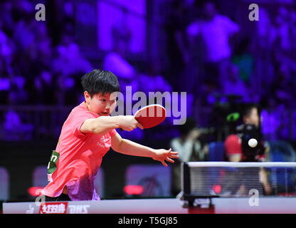 Budapest, Ungarn. 24 Apr, 2019. Sun Yingsha von China konkurriert während singles Runde der Frauen von 16 gegen Cha Hyo Sim von der Demokratischen Volksrepublik Korea (DVRK) am 2019 ITTF World Tischtennis-WM in Budapest, Ungarn, 24. April 2019. Sun Yingsha gewann 4-0. Credit: Lu Yang/Xinhua/Alamy leben Nachrichten Stockfoto
