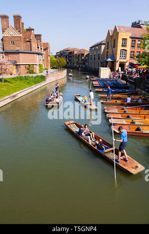 Börsenspekulanten an der Scudamore Kai auf dem Fluss Cam, Universitätsstadt Cambridge, Cambridgeshire, England Stockfoto