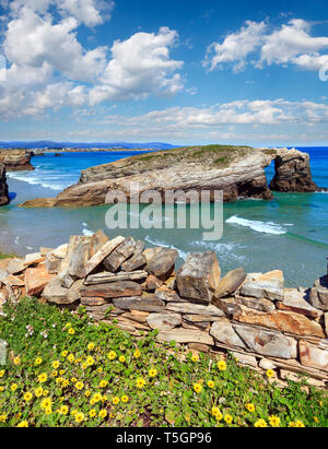 Blühende kantabrische Küste Sommer Landschaft, Dome Beach, Lugo, Galizien, Spanien Stockfoto