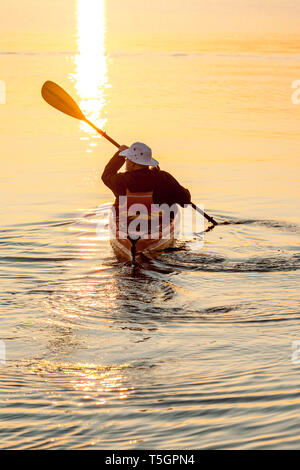 Aktive, unabhängige ältere Mann Kajakfahren im Meer bei Sonnenaufgang oder Sonnenuntergang. Outdoor Adventure Sport genießen, gesunden Ruhestand Lebensstile in der wunderschönen Natur. Stockfoto