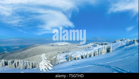 Hochauflösende stitch Bild. Morgen Winter ruhige Berglandschaft mit Tanne Wald am Hang (Karpaten, Ukraine). Stockfoto