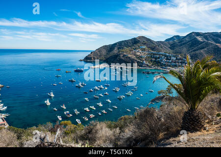 USA, New Jersey, Channel Islands, Santa Catalina Island, Avalon Stockfoto