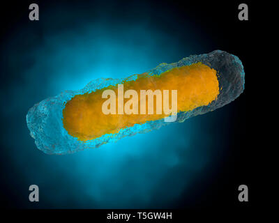 3D-Darstellung eines generischen Bakterien Stockfoto