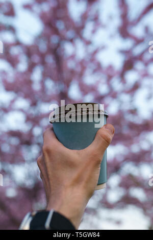 Hand mit Papier Tasse Kaffee - Bunte sakura Kirschblüte in einem Park in Riga, Osteuropäischen Hauptstadt von Lettland - Rosa und magenta Farben Stockfoto