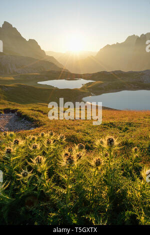 Laghi dei Piani und Innrichriedlknoten Berg bei Sonnenaufgang, Sextner Dolomiten, Italien Stockfoto