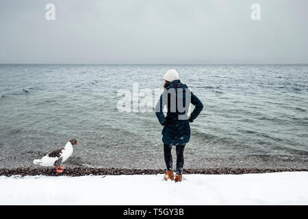 Grey Goose und junge Frau im Starnberger See im Winter Stockfoto