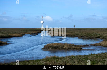 Deutschland, Niedersachsen, Nordsee, Nationalpark Hamburgisches Wattenmeer, Neuwerk, Salzwiese, Radar Turm Stockfoto