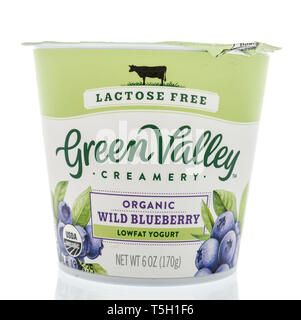 Winneconne, WI - 22. April 2019: ein Paket von Green Valley Joghurt auf einem isolierten Hintergrund Stockfoto