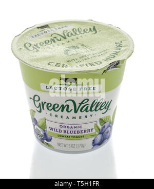 Winneconne, WI - 22. April 2019: ein Paket von Green Valley Joghurt auf einem isolierten Hintergrund Stockfoto