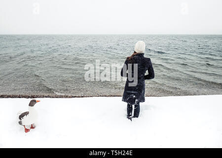 Grey Goose und junge Frau im Starnberger See im Winter Stockfoto