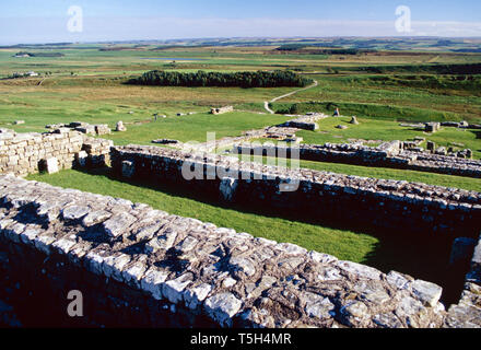 Hadrian's Wall bei Housesteads Roman Fort, Scottish Borders, England Stockfoto