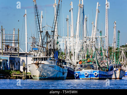 Krabbenfänger, einschließlich Tara Darlene, sieben Kinder, und Südlichen Stolz, sind entlang der Bank angedockt, 14. April 2019, in Bayou La Batre, Alabama. Stockfoto