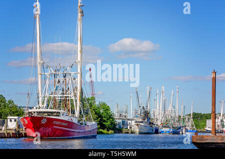 Krabbenfänger, einschließlich Ausdauer, sind entlang der Bank in Bayou La Batre, Alabama angedockt. Stockfoto