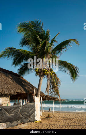 Palme, rauschenden Wellen und Reetgedeckte Cabanas (überdachte Kabinen) am unberührten Strand von Zipolite, Oaxaca, Mexiko. Apr 2019 Stockfoto