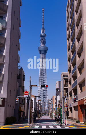 Tokio Skytree von der Straße aus gesehen Stockfoto