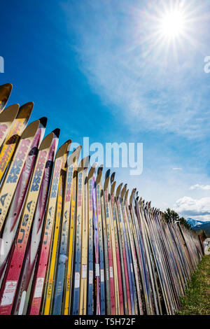 Zaun aus alten Alpinski, Salida, Colorado hergestellt; USA Stockfoto