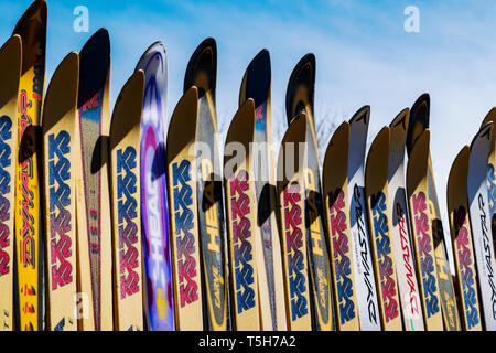 Zaun aus alten Alpinski, Salida, Colorado hergestellt; USA Stockfoto