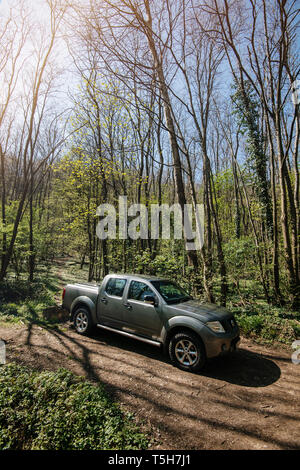 Ribeauville, Frankreich - Apr 19, 2019: Grau Nissan pick-up Auto in der Mitte des Waldes geparkt Stockfoto