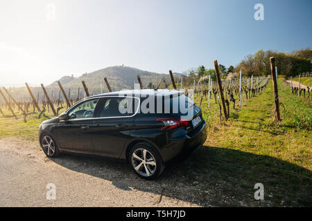 Ribeauville, Frankreich - 19.April 2019: Rückansicht des neuen Peugeot 306 Auto im französischen Weinberge von Ribeauville geparkt Stockfoto