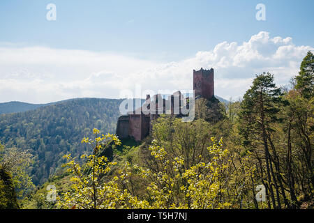 Erhöhte Luftaufnahme der majestätische Chateau de Saint-Ulrich in der Nähe von Ribeauville in Frankreich Elsass mit Wald Perspektive über Hügel Stockfoto