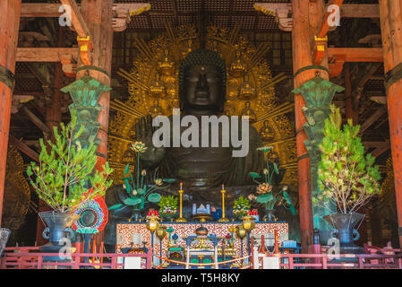 Großer Buddha (daibutsu) in todaiji, Nara, Japan Stockfoto