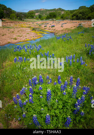 Das Texas Hill Country ist ein fünfundzwanzig County Region Central Texas und South Texas. Stockfoto