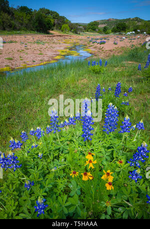 Das Texas Hill Country ist ein fünfundzwanzig County Region Central Texas und South Texas. Stockfoto