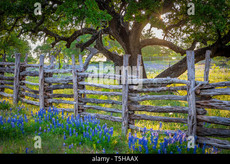 Das Texas Hill Country ist ein fünfundzwanzig County Region Central Texas und South Texas mit karst Topographie und hohen schroffen Hügeln bestehend aus Stockfoto