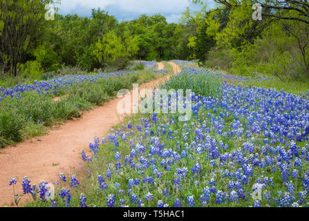 Das Texas Hill Country ist ein fünfundzwanzig County Region Central Texas und South Texas mit karst Topographie und hohen schroffen Hügeln bestehend aus Stockfoto