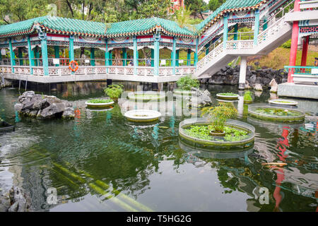 Eine chinesische traditionelle Teich und grünen Garten in Sik Sik Yuen Wong Tai Sin Tempel, einer sehr bekannten touristischen Destination in Hongkong Stockfoto