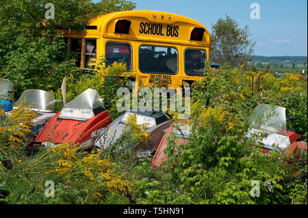 Abgebrochene Schnee Mobiles und Schulbus. Ein Feld von Unkraut und Gestrüpp ist heute verlassenen Schneemobilen und einem Schulbus. Stockfoto