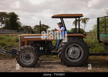 Älterer männlichen Bauern Fahren des Traktors in Farm Stockfoto