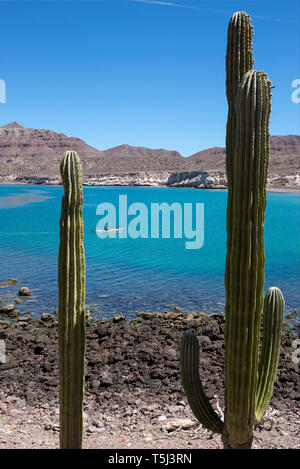 Kajakfahren auf dem Meer, die Bucht von Loreto Nationalpark, Baja California Sur, Mexiko. Stockfoto