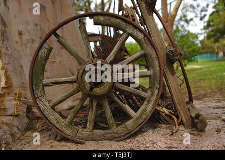 In der Nähe der alten, verlassenen Holzrad von landwirtschaftlichen Maschinen aus dem 19. Jahrhundert Stockfoto