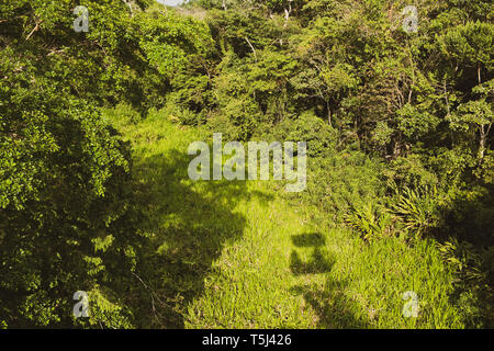 Gamboa Aerial Tram Tour Stockfoto