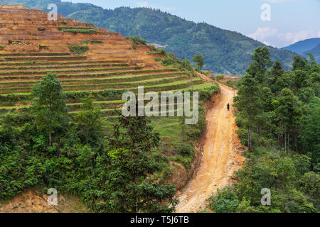 Ländliche terrassierten Reisfeldern tal Landschaft in SaPa, Vietnam, Asien Stockfoto