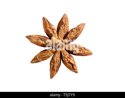 Single perfekte Anis Sterne isoliert auf Weiss. Anis Spice. Stockfoto