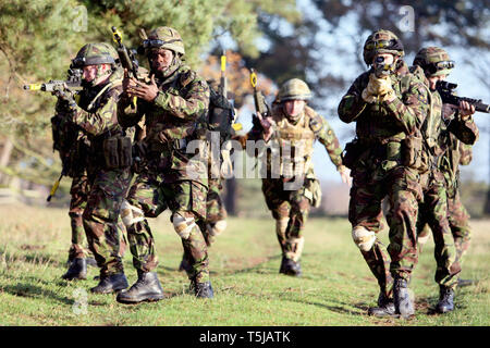 Reservisten vom Londoner nur TA Infanterie Regiment, das London Regiment, vor der Bereitstellung Training in der Vorbereitung für den Dienst in Afghanistan. Norfolk. 10.12.09 Stockfoto