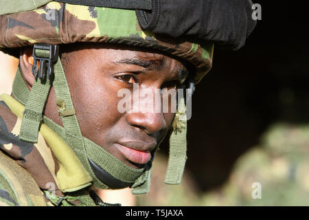 Reservisten vom Londoner nur TA Infanterie Regiment, das London Regiment, vor der Bereitstellung Training in der Vorbereitung für den Dienst in Afghanistan. Norfolk. 10.12.09 Stockfoto