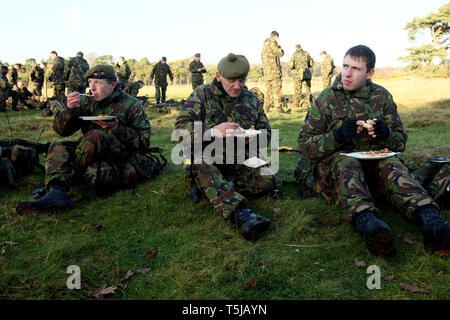 Reservisten vom Londoner nur TA Infanterie Regiment, das London Regiment, vor der Bereitstellung Training in der Vorbereitung für den Dienst in Afghanistan. Norfolk. 10.12.09 Stockfoto