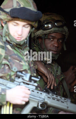 Reservisten vom Londoner nur TA Infanterie Regiment, das London Regiment, vor der Bereitstellung Training in der Vorbereitung für den Dienst in Afghanistan. Norfolk. 10.12.09 Stockfoto