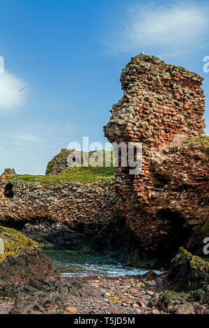 Die zerstörten Überreste von Dunbar Castle an der Südostküste von Schottland in East Lothian Stockfoto