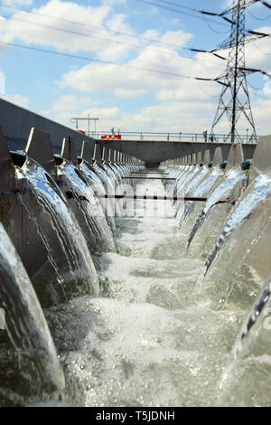 Thames Gateway Wasseraufbereitungsanlagen - Becton, Greater London. 17. Juni 2010. Stockfoto