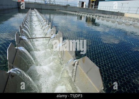 Thames Gateway Wasseraufbereitungsanlagen - Becton, Greater London. 17. Juni 2010. Stockfoto