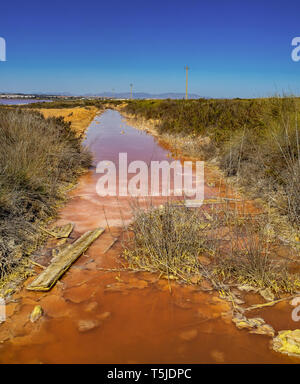 Laguna Salada in Torrevieja, Spanien. Rosa gesalzen See. Salinas Naturpark. Stockfoto