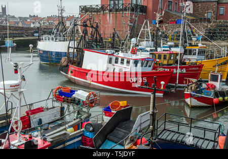 Der innere Hafen bei Dunbar in East Lothian voller Fischerboote und Netze und Töpfe auf der Süd-Ost-Küste von Schottland Stockfoto