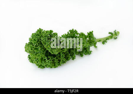 Amerikanische kale auf weißem Hintergrund. Ansicht von oben. Stockfoto