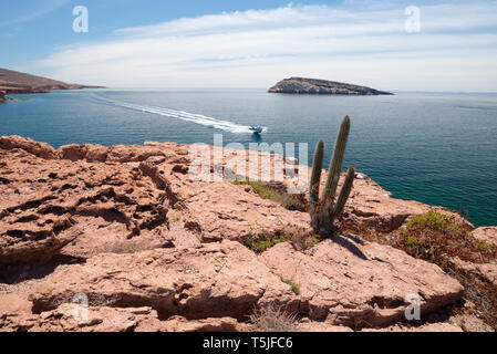 Motorboot, Espiritu Santo, Mexiko Baja California Sur, Mexiko. Stockfoto