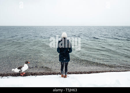 Grey Goose und junge Frau im Starnberger See im Winter Stockfoto