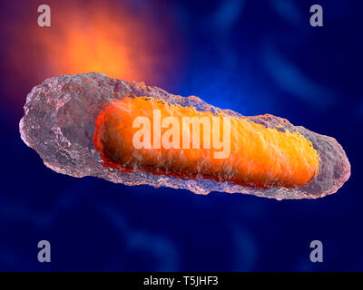 3D-Darstellung eines generischen Bakterien Stockfoto